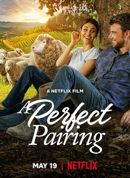 دانلود فیلم A Perfect Pairing / یک جفت کامل