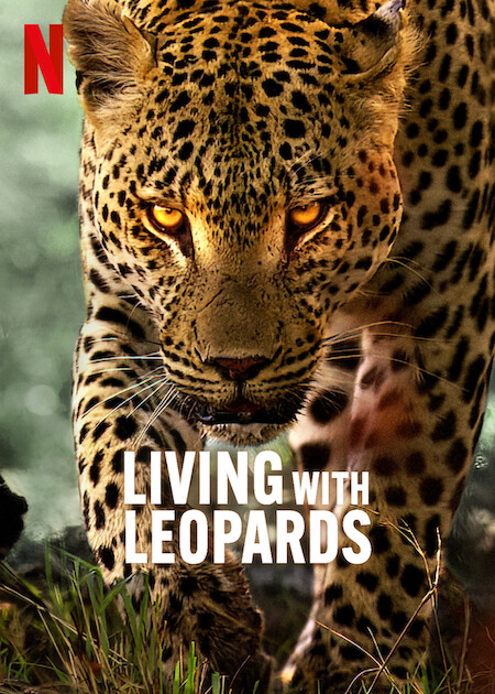 دانلود فیلم Living with Leopards / زندگی با پلنگ ها