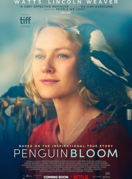 دانلود فیلم Penguin Bloom / پنگوئن بلوم