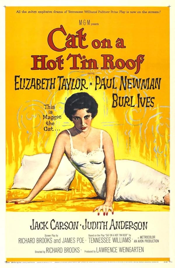 دانلود فیلم Cat on a Hot Tin Roof