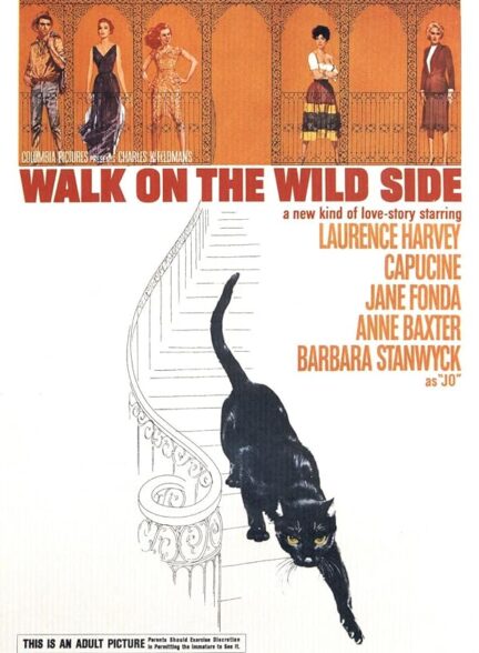 دانلود فیلم Walk on the Wild Side / در سمت وحشی قدم بزن